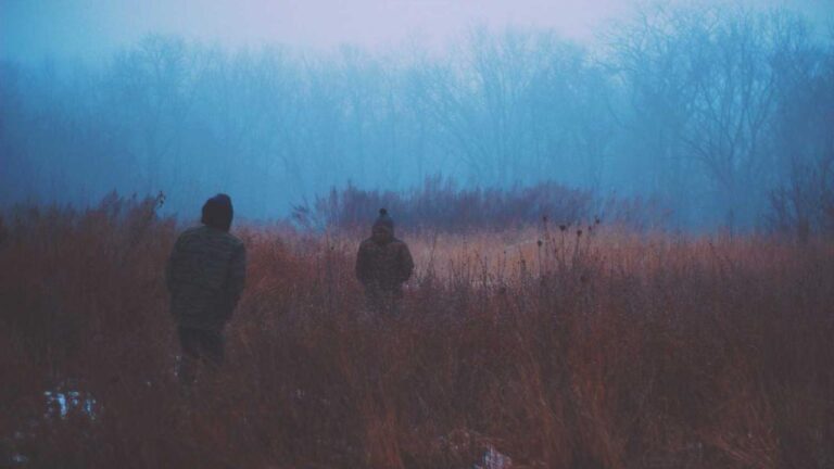 How To Claim 11Xplay Daily Bonus Rewards?